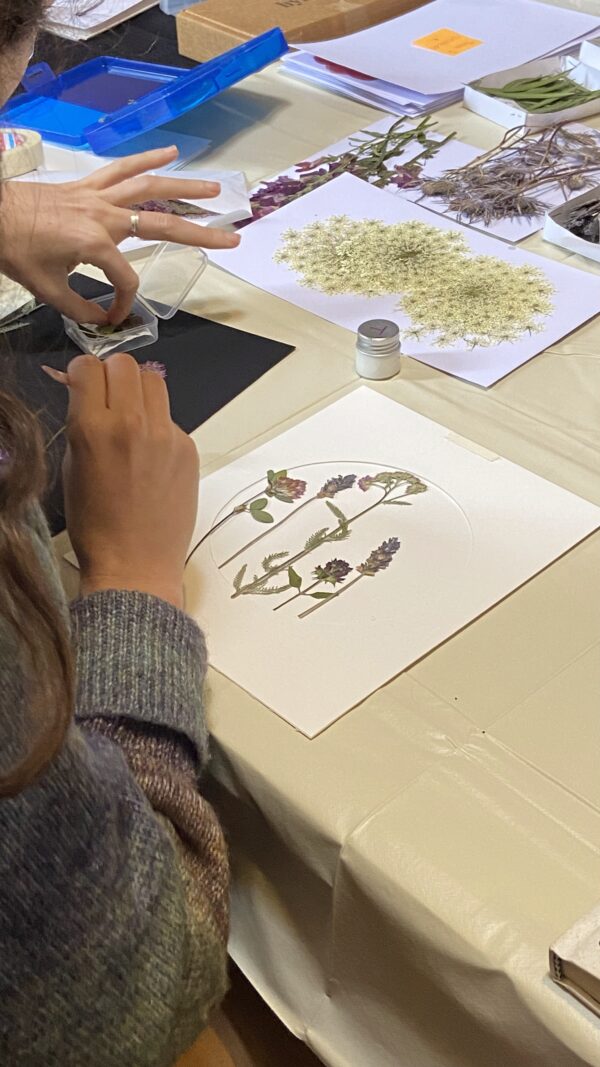 Taller Prensado Floral - PRÓXIMA FECHA JUNIO 2025 - - Imagen 8