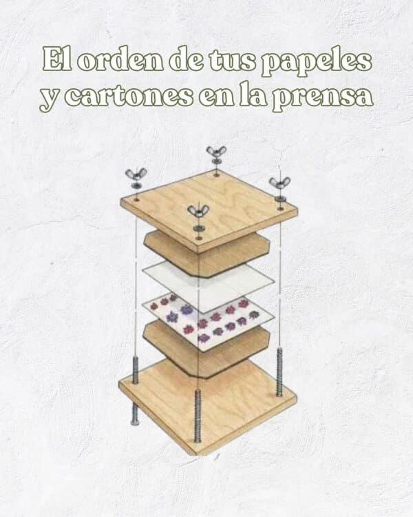 Kit de Prensado de Flores | Prensa de madera + materiales y herramientas - Imagen 8