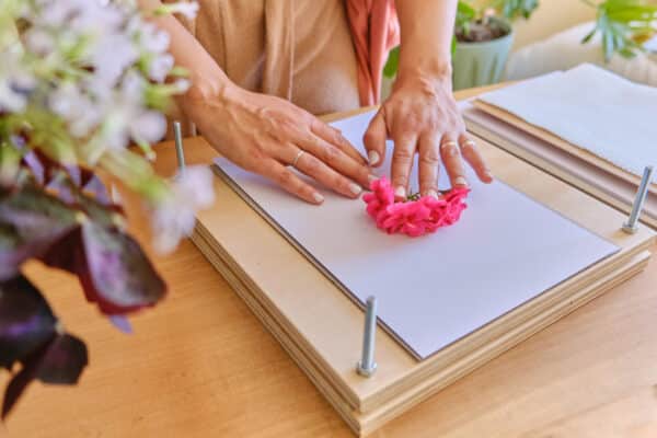 Kit de Prensado de Flores | Prensa de madera + materiales y herramientas - Imagen 7