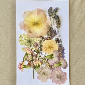 Pack Flores Prensadas - Rosado, morado y amarillo