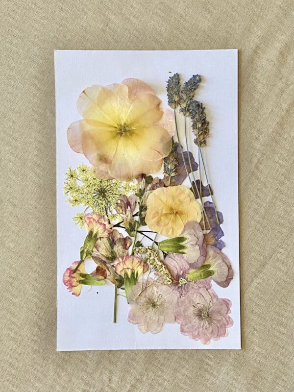 Pack Flores Prensadas - Rosado, morado y amarillo