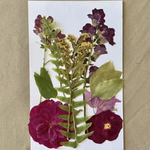 Pack Flores Prensadas - Morado y verde