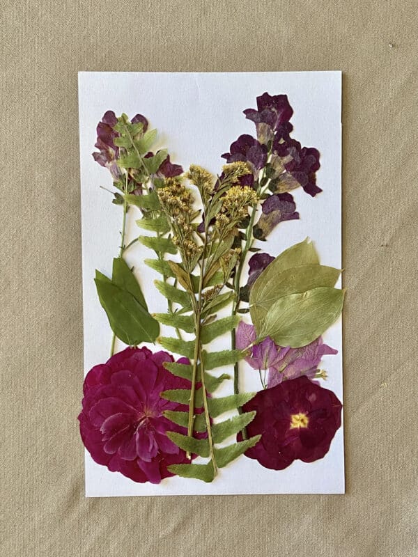 Pack Flores Prensadas - Morado y verde