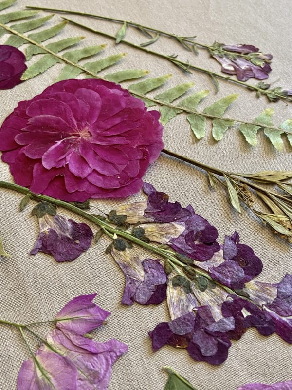 Pack Flores Prensadas - Morado y verde - Imagen 2