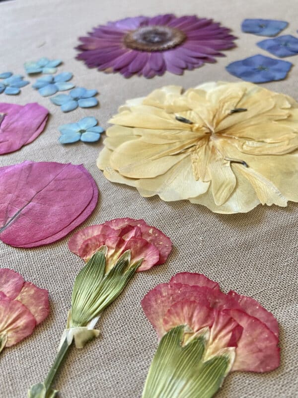 Pack Flores Prensadas - Amarillo, rojo y azul 2 - Imagen 3