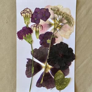 Pack Flores Prensadas - Morado y blanco