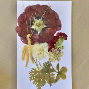 Pack Flores Prensadas - Rojo y blanco