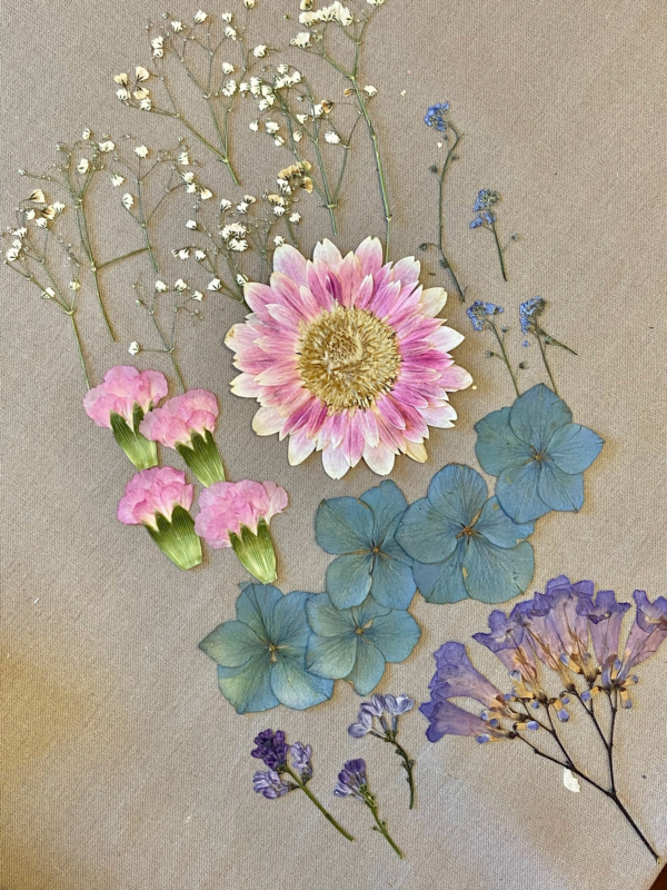 Pack Flores Prensadas - Azul y rosado - Imagen 2