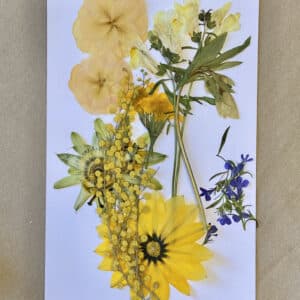 Pack Flores Prensadas - Amarillo y azul
