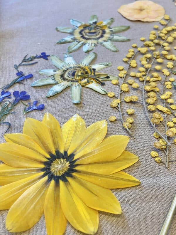 Pack Flores Prensadas - Amarillo y azul - Imagen 2