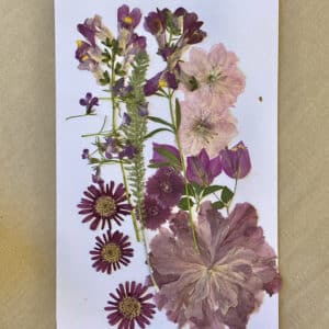 Pack Flores Prensadas - Morado monocromatico