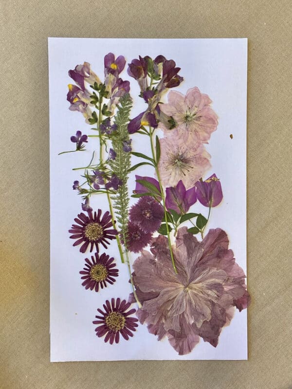 Pack Flores Prensadas - Morado monocromatico