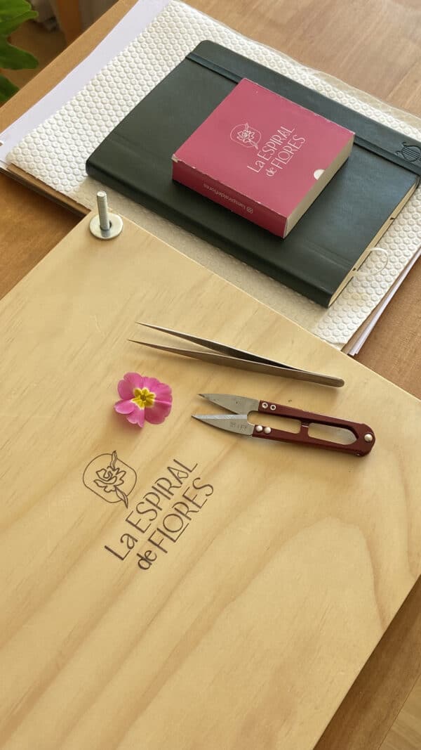 Kit de Prensado de Flores | Prensa de madera + materiales y herramientas - Imagen 3