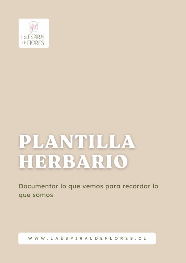 Plantilla Herbario para flores prensadas (PDF descargable)